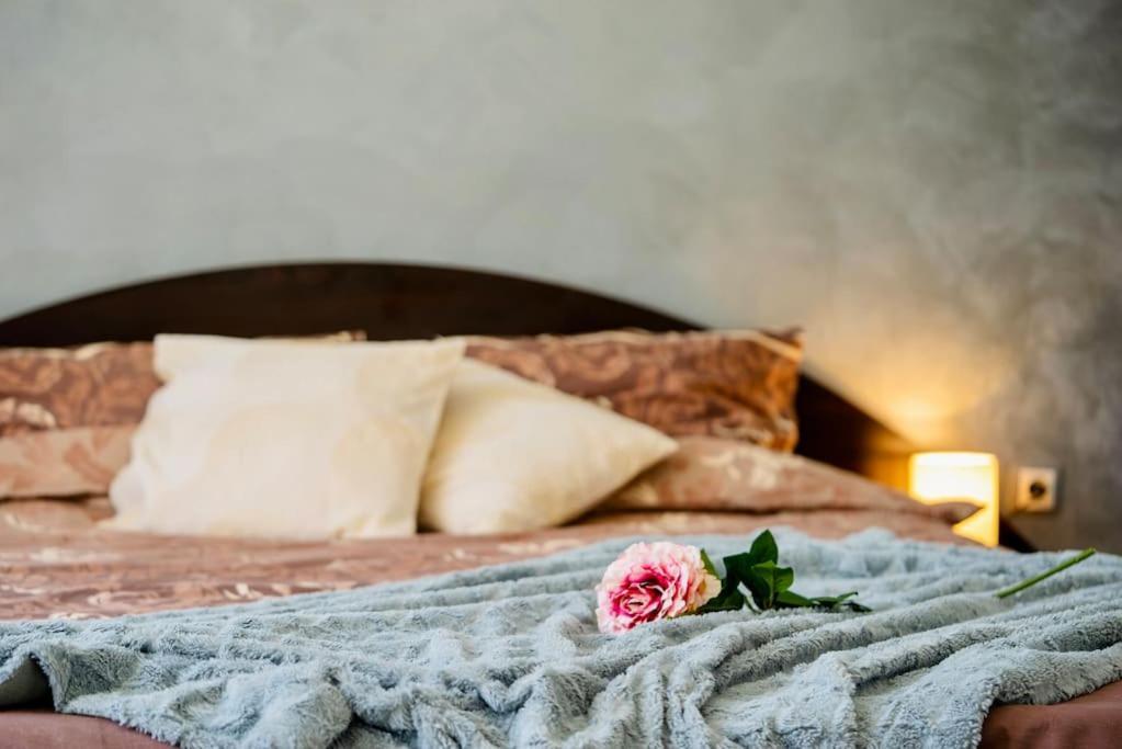 Cozy 2-Bedroom Flat In The Very Center Of صوفيا المظهر الخارجي الصورة